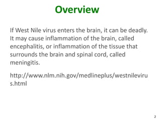 Overview
If West Nile virus enters the brain, it can be deadly.
It may cause inflammation of the brain, called
encephalitis, or inflammation of the tissue that
surrounds the brain and spinal cord, called
meningitis.
http://www.nlm.nih.gov/medlineplus/westnileviru
s.html



                                                         2
 