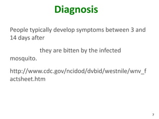 Diagnosis
People typically develop symptoms between 3 and
14 days after
            they are bitten by the infected
mosquito.
http://www.cdc.gov/ncidod/dvbid/westnile/wnv_f
actsheet.htm




                                                  7
 