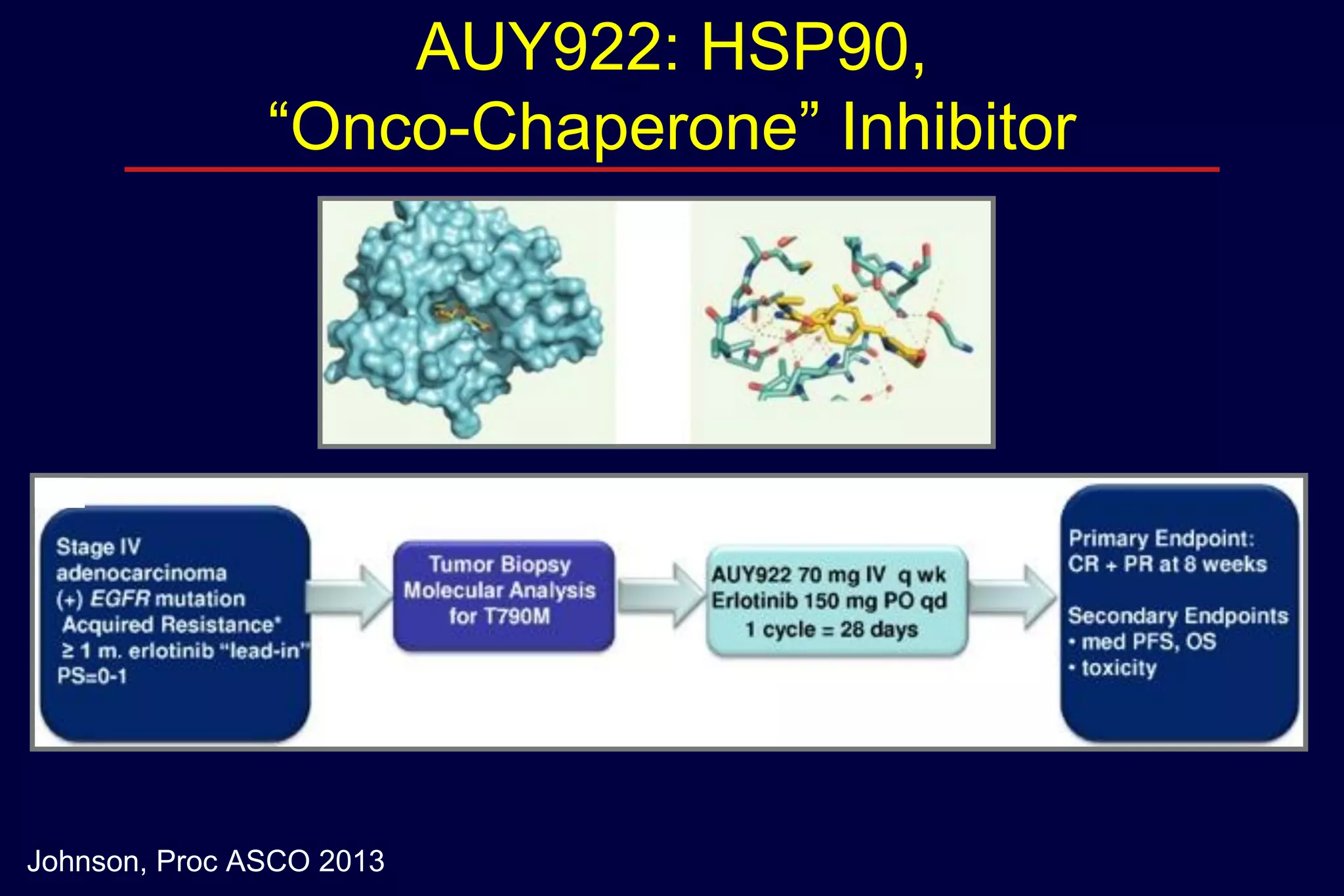 AUY922: HSP90,
“Onco-Chaperone” Inhibitor

Johnson, Proc ASCO 2013

 