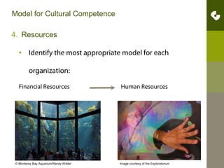 Model for Cultural CompetenceCommitment by key staff and stakeholdersResistance to change, internally and externally