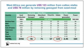 Potential for West Africa in cotton stalks (ICAC)