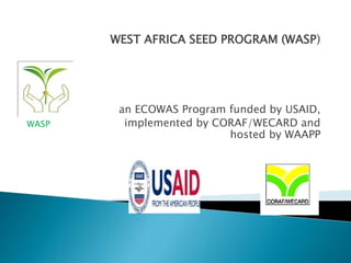 WEST AFRICA SEED PROGRAM (WASP)
an ECOWAS Program funded by USAID,
implemented by CORAF/WECARD and
hosted by WAAPP
WASP
 