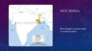 WEST BENGAL
West bengal is eastren state
in northern plains
 