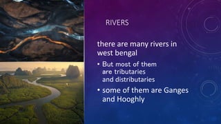 RIVERS
there are many rivers in
west bengal
• But most of them
are tributaries
and distributaries
• some of them are Ganges
and Hooghly
 