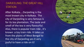 DARJEELING: THE GREAT HILL
STATION
After Kolkata....Darjeeling is the
most known city in Kolkata. The
city of Darjeeling is very famous is
for its tea plantation. The taste and
smell of the tea is very flavourful.
Also, there is popular train ride , it's
known a toy train ride. It takes us
from the plains of West Bengal to
the city of Darjeeling yes it very
joyful to have a ride on it!
 