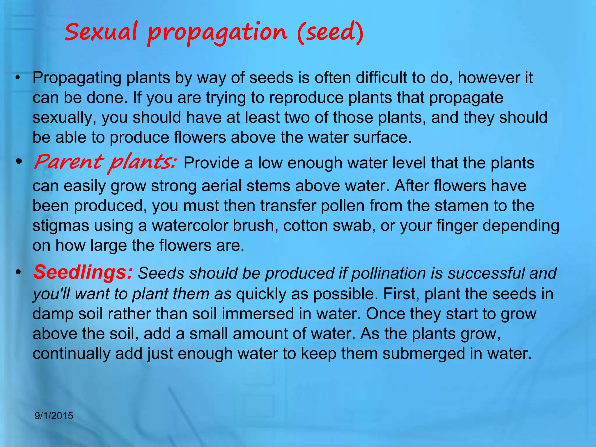 Picture of aquarium plant utility and propagation | PPTX