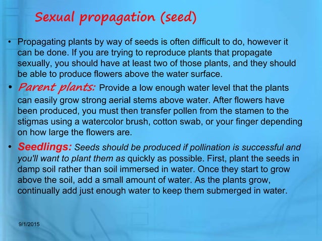 aquarium plant utility and propagation | PPTX | Gardening | Home & Garden