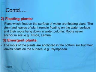 aquarium plant utility and propagation | PPTX | Gardening | Home & Garden
