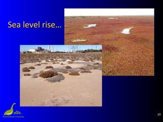 19
Sea level rise…Sea level rise…
 