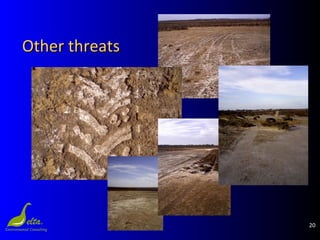 20
Other threatsOther threats
 