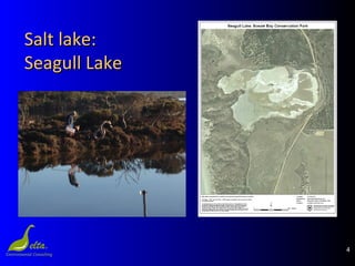4
Salt lake:Salt lake:
Seagull LakeSeagull Lake
 
