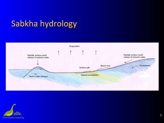 7
Sabkha hydrologySabkha hydrology
 