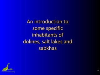 8
An introduction toAn introduction to
some specificsome specific
inhabitants ofinhabitants of
dolines, salt lakes anddolines, salt lakes and
sabkhassabkhas
 