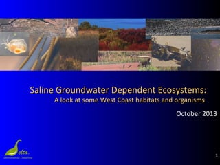 1
Saline Groundwater Dependent Ecosystems:Saline Groundwater Dependent Ecosystems:
A look at some West Coast habitats and organismsA look at some West Coast habitats and organisms
October 2013
 
