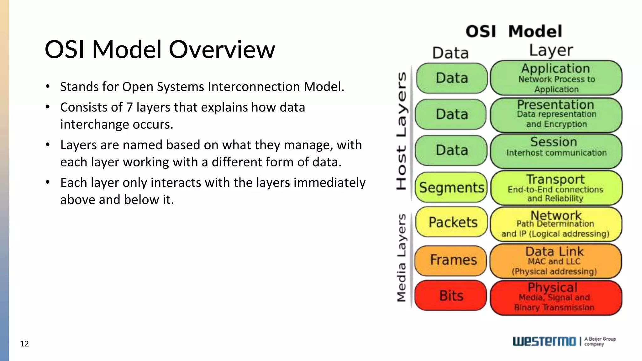 12
OSI Model Overview
• Stands for Open Systems Interconnection Model.
• Consists of 7 layers that explains how data
interchange occurs.
• Layers are named based on what they manage, with
each layer working with a different form of data.
• Each layer only interacts with the layers immediately
above and below it.
 