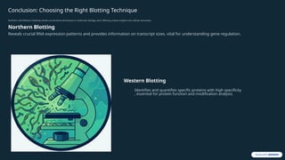 Cornerstone Function Comprehensive Guide to Western and Northern Blotting Techniques in ...