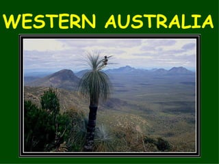 WESTERN AUSTRALIA 