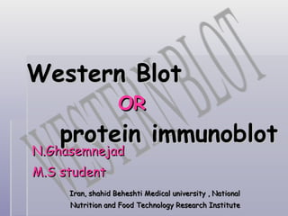 Western Blot   OR   protein immunoblot N.Ghasemnejad M.S student Iran, shahid Beheshti Medical university , National Nutrition and Food Technology Research Institute WESTERN BLOT 