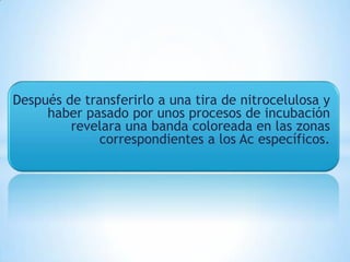 Después de transferirlo a una tira de nitrocelulosa y
     haber pasado por unos procesos de incubación
         revelara una banda coloreada en las zonas
              correspondientes a los Ac específicos.
 