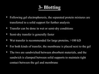 3- Blotting
• Following gel electrophoresis, the separated protein mixtures are
transferred to a solid support for further analysis
• Transfer can be done in wet or semi-dry conditions
• Semi-dry transfer is generally faster
• Wet transfer is recommended for large proteins, >100 kD
• For both kinds of transfer, the membrane is placed next to the gel
• The two are sandwiched between absorbent materials, and the
sandwich is clamped between solid supports to maintain tight
contact between the gel and membrane
 