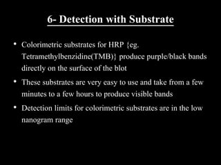 6- Detection with Substrate
• Colorimetric substrates for HRP {eg.
Tetramethylbenzidine(TMB)} produce purple/black bands
directly on the surface of the blot
• These substrates are very easy to use and take from a few
minutes to a few hours to produce visible bands
• Detection limits for colorimetric substrates are in the low
nanogram range
 