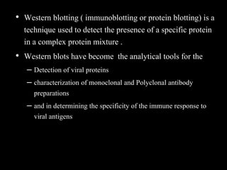 • Western blotting ( immunoblotting or protein blotting) is a
technique used to detect the presence of a specific protein
in a complex protein mixture .
• Western blots have become the analytical tools for the
– Detection of viral proteins
– characterization of monoclonal and Polyclonal antibody
preparations
– and in determining the specificity of the immune response to
viral antigens
 