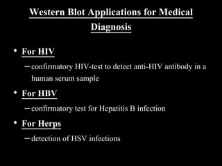 Western Blot Applications for Medical
Diagnosis
• For HIV
–confirmatory HIV-test to detect anti-HIV antibody in a
human serum sample
• For HBV
–confirmatory test for Hepatitis B infection
• For Herps
–detection of HSV infections
 