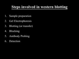 Steps involved in western blotting
1. Sample preparation
2. Gel Electrophoresis
3. Blotting (or transfer)
4. Blocking
5. Antibody Probing
6. Detection
 