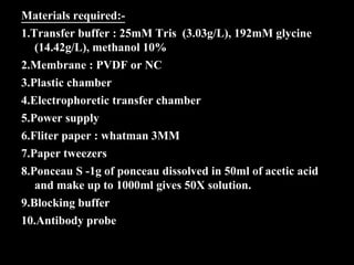 Materials required:-
1.Transfer buffer : 25mM Tris (3.03g/L), 192mM glycine
(14.42g/L), methanol 10%
2.Membrane : PVDF or NC
3.Plastic chamber
4.Electrophoretic transfer chamber
5.Power supply
6.Fliter paper : whatman 3MM
7.Paper tweezers
8.Ponceau S -1g of ponceau dissolved in 50ml of acetic acid
and make up to 1000ml gives 50X solution.
9.Blocking buffer
10.Antibody probe
 
