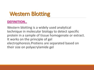 Western Blotting
DEFINITION..
Western blotting is a widely used analytical
technique in molecular biology to detect specific
protein in a sample of tissue homogenate or extract.
It works on the principle of gel
electrophoresis.Protiens are separated based on
their size on polyacrylamide gel
 
