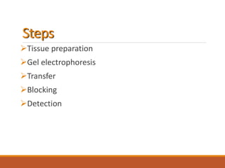 Steps
Tissue preparation
Gel electrophoresis
Transfer
Blocking
Detection
 