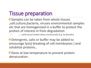 Tissue preparation
Samples can be taken from whole tissues
,cell.culture,bacteria, viruses environmental samples
etc that are homogenized in a buffer to protect the
protien of interest in from degradation
 ......solid tissues broken down mechanically (e.g. by blender).
Detergents, salts or buffer may be added to
encourage lysis( breaking of cell membranes ) and
solubilize proteins..
Done at low temperature to prevent protein
denaturation .
 