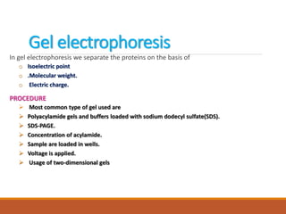 Gel electrophoresis
In gel electrophoresis we separate the proteins on the basis of
o Isoelectric point
o .Molecular weight.
o Electric charge.
PROCEDURE
 Most common type of gel used are
 Polyacylamide gels and buffers loaded with sodium dodecyl sulfate(SDS).
 SDS-PAGE.
 Concentration of acylamide.
 Sample are loaded in wells.
 Voltage is applied.
 Usage of two-dimensional gels
 