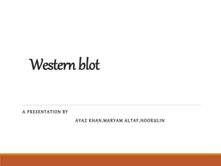 Westernblot
A PRESENTATION BY
AYAZ KHAN,MARYAM ALTAF,HOORULIN
 