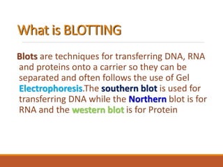 What is BLOTTING
Blots are techniques for transferring DNA, RNA
and proteins onto a carrier so they can be
separated and often follows the use of Gel
Electrophoresis.The southern blot is used for
transferring DNA while the Northern blot is for
RNA and the western blot is for Protein
 