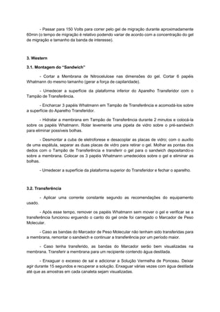- Passar para 150 Volts para correr pelo gel de migração durante aproximadamente
60min (o tempo de migração é relativo podendo variar de acordo com a concentração do gel
de migração e tamanho da banda de interesse).
3. Western
3.1. Montagem do “Sandwich”
- Cortar a Membrana de Nitrocelulose nas dimensões do gel. Cortar 6 papéis
Whatmann do mesmo tamanho (gerar a força de capilaridade).
- Umedecer a superfície da plataforma inferior do Aparelho Transferidor com o
Tampão de Transferência.
- Encharcar 3 papéis Whatmann em Tampão de Transferência e acomodá-los sobre
a superfície do Aparelho Transferidor.
- Hidratar a membrana em Tampão de Transferência durante 2 minutos e colocá-la
sobre os papéis Whatmann. Rolar levemente uma pipeta de vidro sobre o pré-sandwich
para eliminar possíveis bolhas.
- Desmontar a cuba de eletroforese e desacoplar as placas de vidro; com o auxílio
de uma espátula, separar as duas placas de vidro para retirar o gel. Molhar as pontas dos
dedos com o Tampão de Transferência e transferir o gel para o sandwich depositando-o
sobre a membrana. Colocar os 3 papéis Whatmann umedecidos sobre o gel e eliminar as
bolhas.
- Umedecer a superfície da plataforma superior do Transferidor e fechar o aparelho.
3.2. Transferência
- Aplicar uma corrente constante segundo as recomendações do equipamento
usado.
- Após esse tempo, remover os papéis Whatmann sem mover o gel e verificar se a
transferência funcionou erguendo o canto do gel onde foi carregado o Marcador de Peso
Molecular.
- Caso as bandas do Marcador de Peso Molecular não tenham sido transferidas para
a membrana, remontar o sandwich e continuar a transferência por um período maior.
- Caso tenha transferido, as bandas do Marcador serão bem visualizadas na
membrana. Transferir a membrana para um recipiente contendo água destilada.
- Enxaguar o excesso de sal e adicionar a Solução Vermelha de Ponceau. Deixar
agir durante 15 segundos e recuperar a solução. Enxaguar várias vezes com água destilada
até que as amostras em cada canaleta sejam visualizadas.
 