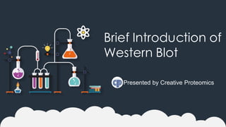 Brief Introduction of
Western Blot
Presented by Creative Proteomics
 