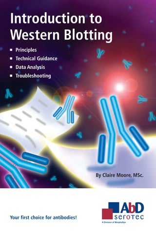 Introduction to
Western Blotting
 	 Principles
 	 Technical Guidance
 	 Data Analysis
 	 Troubleshooting




                                    By Claire Moore, MSc.




Your first choice for antibodies!
 