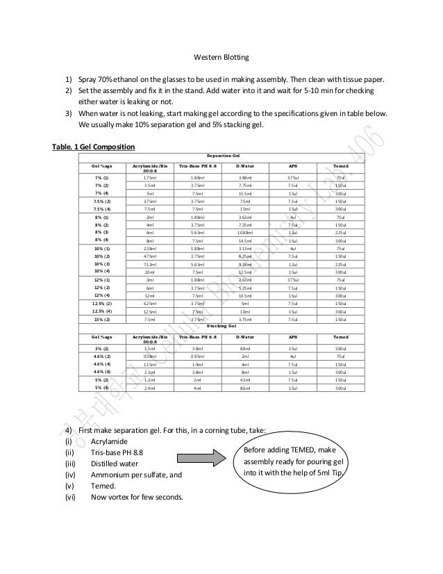 western blot results western blot results