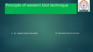 Principle of western blot technique
 Dr. Hadeel Khalaf Alboaklah Dr. Muntader Mohammed Kani
 