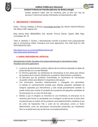 Instituto Politécnico Nacional
                Unidad Profesional Interdisciplinaria de Biotecnología
                  bandas (pudieron haber sido los reactivos), pero al teñir con rojo de
                  ponceau si obtuvimos bandas individuales correspondientes a IgG


5   BIBLIOGRAFÍA Y REFERENCIAS

Kindt, J. Thomas, Goldsby, A. Richard, Inmunología de Kuby, 6ta. Edición, Editorial McGraw
Hill, México 2007, páginas 551.

Berg Jeremy Mark, BIOQUIMICA, Edit. Reverte, Primera Edición, España 2008, Págs.
consultadas: 68 -78.

Tobin H, Staehelin T, Gordon J. Electrophoretic transfer of proteins from polyacrylamide
gels to nitrocellulose sheets: Procedure and some applications. Proc Natl Acad Sci USA
1979;76(9):4350-4354.

http://www.icp.ucr.ac.cr/nuevo/pdf/electroforesis.pdf
http://www.westernblotting.org/

    6. ANEXO (DISCUSIÓN DEL ARTÍCULO)

Electrophoretic transfer of proteins from polyacrylamide gels to nitrocellulose sheets:
Procedure and some applications

        La técnica de electroforesis produce réplicas de las proteínas separadas en geles de
         poliacrilamida con una alta fidelidad.
        En términos generales, las membranas de nitrocelulosa se han utiliza para retener
         las proteínas de la solución diluida para su posterior determinación cuantitativa.
        Se demostró que las proteínas inmovilizadas en membranas de nitrocelulosa
         se pueden utilizar para detectar lo respectivos anticuerpos.
        Con anticuerpos marcados radiactivamente o conjugado con peroxidasa-
         el método es suficientemente sensible para detectar pequeñas cantidades de
         antígeno separados por electroforesis, y este simple procedimiento también se
         puede utilizar para mostrar el resultado de la presencia de pequeñas cantidades de
         de anticuerpos en un suero de título bajo.
        Debido a que el antígeno se inmoviliza en una membrana, el anticuerpo no es
         necesario para formar un precipitado con el antígeno. La técnica por lo tanto tiene
         el potencial para el análisis de las proteínas inmunoelectroforético mediante el uso
         de unión de fragmentos Fab o unión de los anticuerpos contra un factor
         determinante, como los anticuerpos monoclonales producidos por hibridomas.
         Esto no se podía hacer por las técnicas inmunoelectroforéticas.




Práctica Western Blot                Laboratorio de Biotecnología Molecular               Pág.19
 