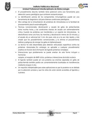 Instituto Politécnico Nacional
                Unidad Profesional Interdisciplinaria de Biotecnología
        El procedimiento descrito también tiene potencial como una herramienta para
         detección sueros patológicos que contienen autoanticuerpos
        La identificación precisa de los componentes inmunogénicos puede ser una
         herramienta de diagnóstico útil para diversas condiciones patológicas.
        Otra ventaja de la inmovilización de proteínas de nitrocelulosa es la facilidad de
         procesamiento para la autorradiografía.
        Técnicas convencionales, decoloración y secado de geles de poliacrilamida
         toma muchas horas, y las condiciones exactas de secado son extremadamente
         crítica. Cuando las proteínas son transferidos a un soporte de nitrocelulosa, la
         electroforesis toma una hora, las manchas y decoloración menos de 10 minutos, y
         el secado de un adicional de 5 min. Así pues, esto es a la vez más rápido y más
         simple que los procedimientos convencionales, y lo elimina el procedimiento
         tedioso y peligroso de remojar los geles en diphenyloxazol.
        La técnica ha sido desarrollada para detectar anticuerpos específicos contra las
         proteínas ribosomales. Sin embargo, es aplicable a cualquier procedimiento
         analítico en función de la formación de ligando proteínas-complejos.
        Interacciones que posiblemente se puede analizar de esta forma incluyen a
         hormonas
         receptor, el receptor de AMP cíclico, proteína e interacciones de ácido nucleico.
        El ligando también puede ser una proteína. Las enzimas separadas en geles de
         poliacrilamida también podría ser convenientemente localizadas en transferencias
         mediante ensayos in situ.
        Un requisito indispensable para estas aplicaciones es que la proteína no es dañada
         por la adsorción proceso y que los sitios de unión siendo accesibles al ligandos y
         sustratos.




Práctica Western Blot                Laboratorio de Biotecnología Molecular          Pág.20
 