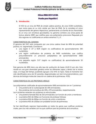 Instituto Politécnico Nacional
                Unidad Profesional Interdisciplinaria de Biotecnología

                                  Chiron RIBA HCV 3.0 SIA
                                  Prueba para Hepatitis C
    1. Introducción

         El HCV es un virus de RNA de simple cadena positiva, de unos 9,500 nucleótidos,
         que nunca pasa en su ciclo celular por fase de DNA. Se le considera el único
         representando del género Hepacivirus, perteneciente a la familia de los Flaviviridae.
         Es un virus con envoltura glucolipídica. Su genoma contiene una única pauta de
         lectura abierta (ORF) que codifica para una poliproteína precursora flaqueada pro
         dos regiones no codificantes en ambos extremos 5’ y 3’.

CARACTERISTICAS DEL GENOMA
El genoma del VHC está compuesto por una única cadena lineal de ARN de polaridad
positiva, no segmentado. Consiste en:
     una región 5' UT o NCR (región no codificadora) de aproximadamente 340
        nucleótidos
     una región codificadora de proteína, de 9400 nucleótidos, que codifica
        presumiblemente un precursor polipeptídico de aproximadamente 3000
        aminoácidos
     una pequeña región 3'UT (región no codificadora) de aproximadamente 50
        nucleótidos.

Este genoma de ARN tiene una alta tasa de sustitución de bases (2x10-3) por año. Esto
resulta en una gran diversidad genética entre las diferentes cepas y dentro de la misma
cepa, a lo largo del tiempo, pudiendo agrupar a los VHC en tipos. Hasta el momento han
sido identificados cerca de 10 variantes, diagnosticadas con test inmunoenzimáticos y por
técnicas de biología molecular (reacción en cadena de la polimerasa -PCR).

CARACTERISTICAS DE LAS PROTEINAS VIRALES

Las poliproteínas codificadas de aproximadamente 3000 aminoácidos son en 7 proteínas:
     Una proteína de la nucleocápside de 190 aminoácidos;
     Dos proteínas de la envoltura de 190 y 370 aminoácidos, respectivamente.
Las 4 proteínas restantes son proteínas no estructurales:
     Una proteína llamada NS2 de 250 aminoácidos con función de unión a membrana
     La proteína NS3 de 500aa con funciones de proteasa-helicasa
     La proteína NS4 de 460aa con función de unión a membrana
     La proteína NS5 de 1050aa con probable función de polimerasa

Se han identificado regiones hipervariables en todos los genes que codifican proteínas
virales, pero los más variables son los que codifican para las proteínas de la envoltura.




Práctica Western Blot                Laboratorio de Biotecnología Molecular          Pág.21
 