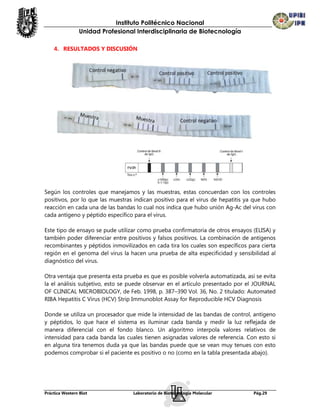 Instituto Politécnico Nacional
                Unidad Profesional Interdisciplinaria de Biotecnología

    4. RESULTADOS Y DISCUSIÓN




Según los controles que manejamos y las muestras, estas concuerdan con los controles
positivos, por lo que las muestras indican positivo para el virus de hepatitis ya que hubo
reacción en cada una de las bandas lo cual nos indica que hubo unión Ag-Ac del virus con
cada antígeno y péptido específico para el virus.

Este tipo de ensayo se pude utilizar como prueba confirmatoria de otros ensayos (ELISA) y
también poder diferenciar entre positivos y falsos positivos. La combinación de antígenos
recombinantes y péptidos inmovilizados en cada tira los cuales son específicos para cierta
región en el genoma del virus la hacen una prueba de alta especificidad y sensibilidad al
diagnóstico del virus.

Otra ventaja que presenta esta prueba es que es posible volverla automatizada, así se evita
la el análisis subjetivo, esto se puede observar en el artículo presentado por el JOURNAL
OF CLINICAL MICROBIOLOGY, de Feb. 1998, p. 387–390 Vol. 36, No. 2 titulado: Automated
RIBA Hepatitis C Virus (HCV) Strip Immunoblot Assay for Reproducible HCV Diagnosis

Donde se utiliza un procesador que mide la intensidad de las bandas de control, antígeno
y péptidos, lo que hace el sistema es iluminar cada banda y medir la luz reflejada de
manera diferencial con el fondo blanco. Un algoritmo interpola valores relativos de
intensidad para cada banda las cuales tienen asignadas valores de referencia. Con esto si
en alguna tira tenemos duda ya que las bandas puede que se vean muy tenues con esto
podemos comprobar si el paciente es positivo o no (como en la tabla presentada abajo).




Práctica Western Blot             Laboratorio de Biotecnología Molecular          Pág.29
 