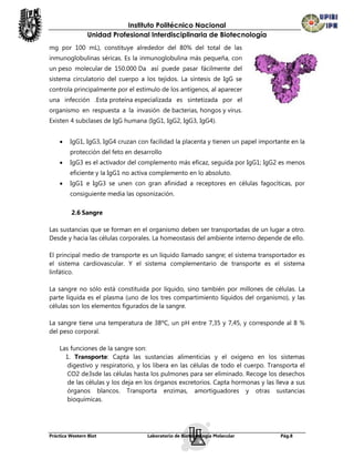 Instituto Politécnico Nacional
                Unidad Profesional Interdisciplinaria de Biotecnología
mg por 100 mL), constituye alrededor del 80% del total de las
inmunoglobulinas séricas. Es la inmunoglobulina más pequeña, con
un peso molecular de 150.000 Da así puede pasar fácilmente del
sistema circulatorio del cuerpo a los tejidos. La síntesis de IgG se
controla principalmente por el estímulo de los antígenos, al aparecer
una infección .Esta proteína especializada es sintetizada por el
organismo en respuesta a la invasión de bacterias, hongos y virus.
Existen 4 subclases de IgG humana (IgG1, IgG2, IgG3, IgG4).


        IgG1, IgG3, IgG4 cruzan con facilidad la placenta y tienen un papel importante en la
         protección del feto en desarrollo
        IgG3 es el activador del complemento más eficaz, seguida por IgG1; IgG2 es menos
         eficiente y la IgG1 no activa complemento en lo absoluto.
        IgG1 e IgG3 se unen con gran afinidad a receptores en células fagocíticas, por
         consiguiente media las opsonización.

         2.6 Sangre

Las sustancias que se forman en el organismo deben ser transportadas de un lugar a otro.
Desde y hacia las células corporales. La homeostasis del ambiente interno depende de ello.

El principal medio de transporte es un líquido llamado sangre; el sistema transportador es
el sistema cardiovascular. Y el sistema complementario de transporte es el sistema
linfático.

La sangre no sólo está constituida por líquido, sino también por millones de células. La
parte líquida es el plasma (uno de los tres compartimiento líquidos del organismo), y las
células son los elementos figurados de la sangre.

La sangre tiene una temperatura de 38ºC, un pH entre 7,35 y 7,45, y corresponde al 8 %
del peso corporal.

    Las funciones de la sangre son:
      1. Transporte: Capta las sustancias alimenticias y el oxígeno en los sistemas
       digestivo y respiratorio, y los libera en las células de todo el cuerpo. Transporta el
       CO2 de3sde las células hasta los pulmones para ser eliminado. Recoge los desechos
       de las células y los deja en los órganos excretorios. Capta hormonas y las lleva a sus
       órganos blancos. Transporta enzimas, amortiguadores y otras sustancias
       bioquímicas.




Práctica Western Blot               Laboratorio de Biotecnología Molecular          Pág.8
 