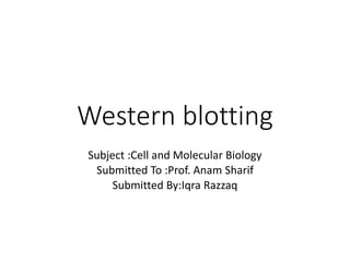 Western blotting
Subject :Cell and Molecular Biology
Submitted To :Prof. Anam Sharif
Submitted By:Iqra Razzaq
 