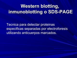 Western blotting,
inmunoblotting o SDS-PAGE
Tecnica para detectar proteinas
especificas separadas por electroforesis
utilizando anticuerpos marcados.

 