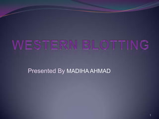 Presented By MADIHA AHMAD

1

 