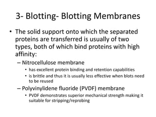 3- Blotting- Blotting Membranes
• The solid support onto which the separated
proteins are transferred is usually of two
types, both of which bind proteins with high
affinity:
– Nitrocellulose membrane
• has excellent protein binding and retention capabilities
• is brittle and thus it is usually less effective when blots need
to be reused
– Polyvinylidene fluoride (PVDF) membrane
• PVDF demonstrates superior mechanical strength making it
suitable for stripping/reprobing
 