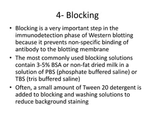 4- Blocking
• Blocking is a very important step in the
immunodetection phase of Western blotting
because it prevents non-specific binding of
antibody to the blotting membrane
• The most commonly used blocking solutions
contain 3-5% BSA or non-fat dried milk in a
solution of PBS (phosphate buffered saline) or
TBS (tris buffered saline)
• Often, a small amount of Tween 20 detergent is
added to blocking and washing solutions to
reduce background staining
 
